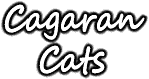 Cagaran Cats - Pedigree Cat Breeders in Scotland
